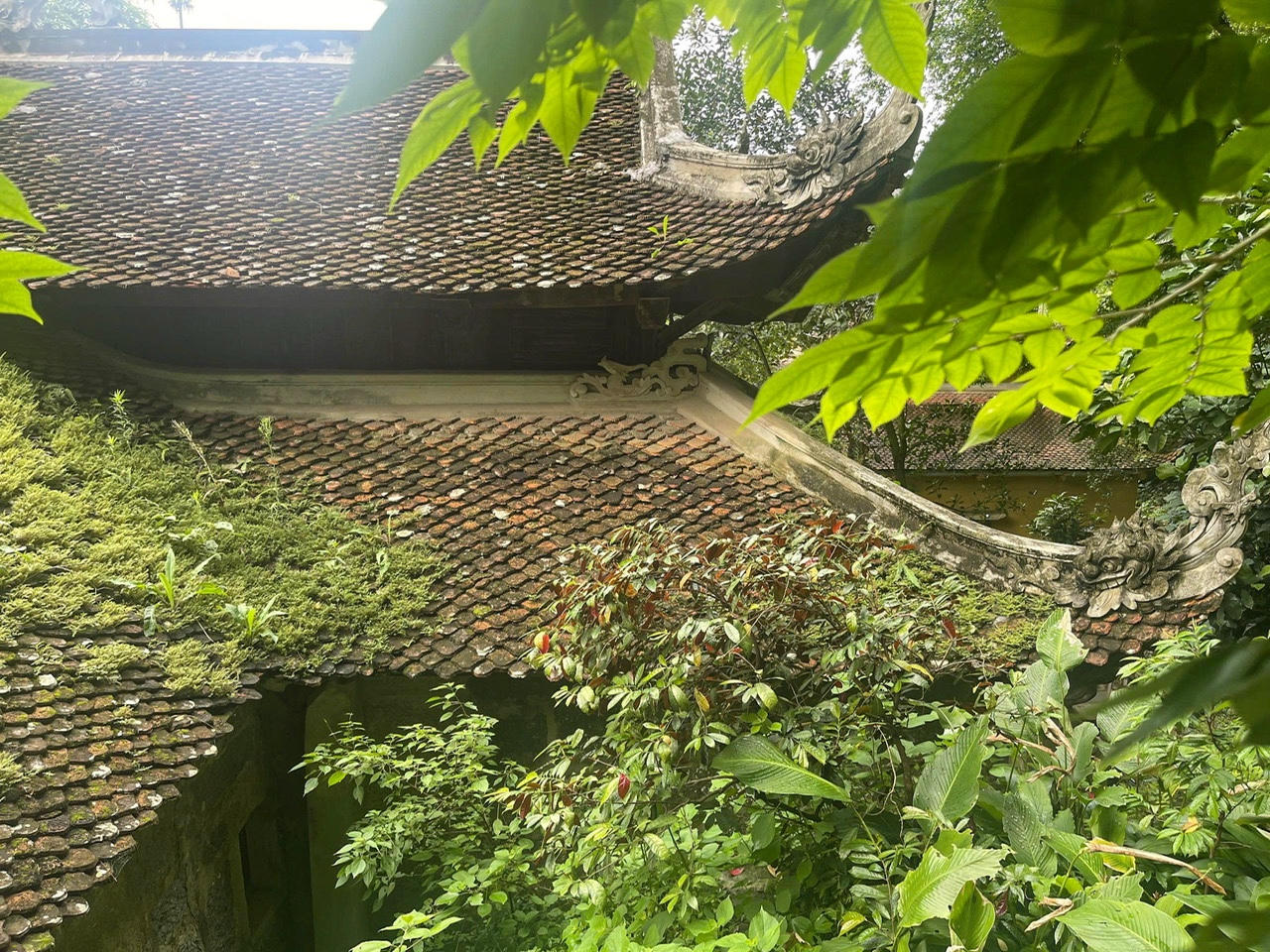 Du khách có thể đến với Ninh Bình bất kỳ thời gian nào trong năm, bởi mỗi mùa, nơi đây đều có vẻ đẹp rất riêng.