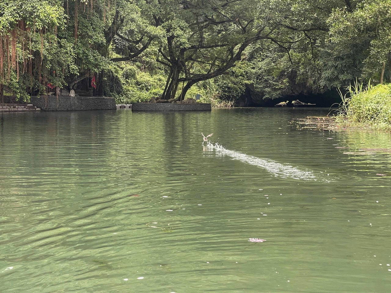 Dòng sông Ngô Đồng xuyên qua núi, vẫn lưu giữ được những vẻ đẹp của hệ sinh thái hoang sơ hấp dẫn du khách khi đến nơi đây.