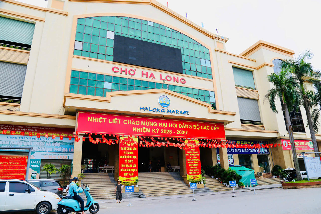 Nhiều hoạt động, phong trào thi đua được tổ chức thực chất, hiệu quả, phát huy vai trò của cán bộ, đảng viên, CNVC-LĐ tạo khí thế sôi nổi trong công tác, học tập, lao động, sản xuất, hướng về đại hội Đảng bộ tỉnh.