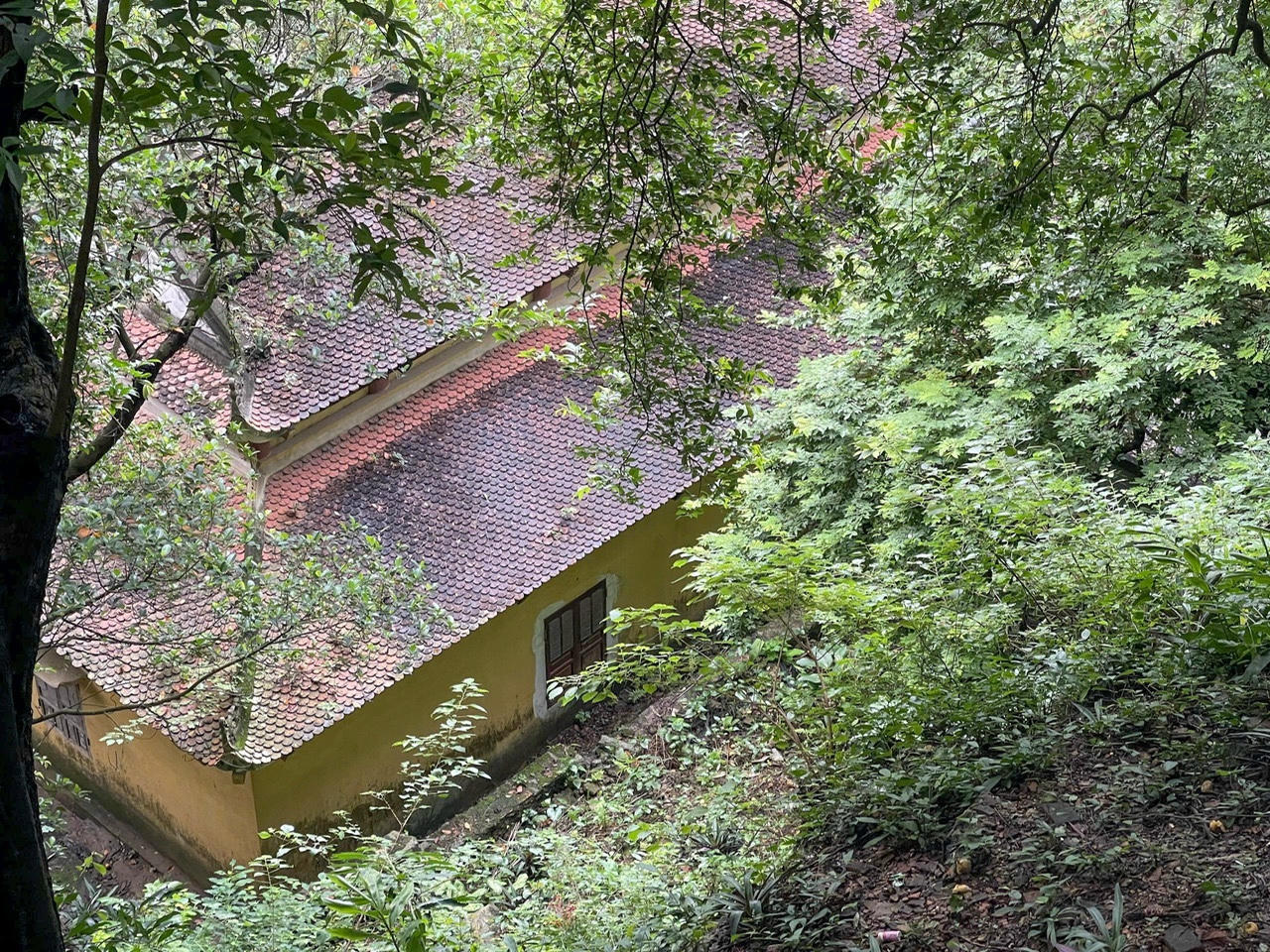 Tam Cốc - Bích Động: vẻ đẹp rất riêng không thể bỏ lỡ khi tới Ninh Bình