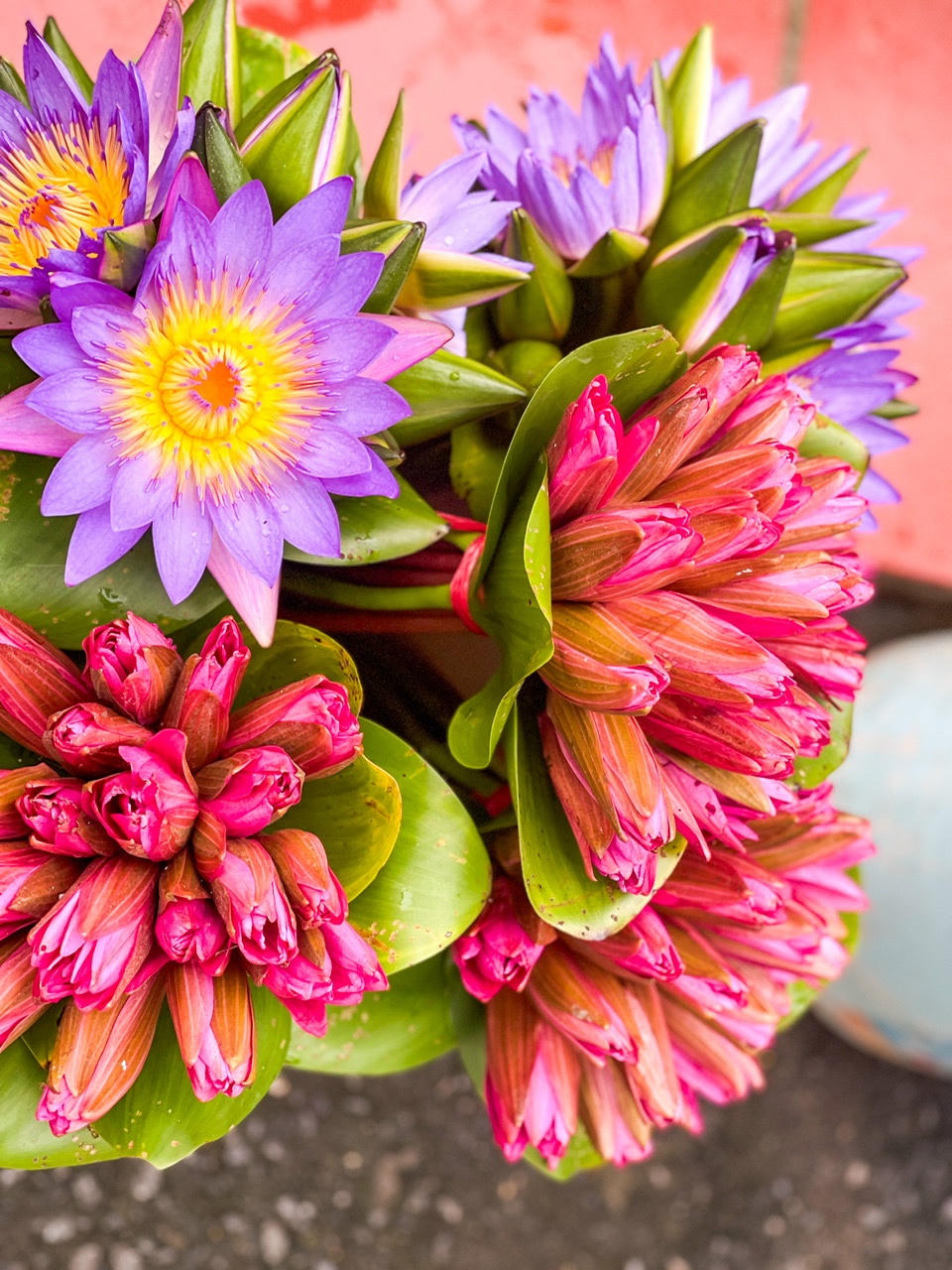 Hoa súng một sản vật địa phương hút hồn du khách khi đến nơi đây