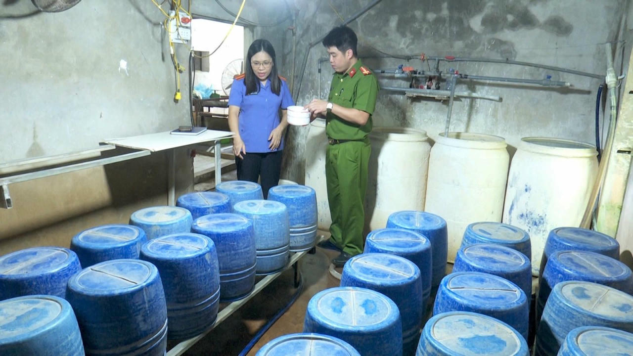 Cơ quan chức năng kiểm tra cơ sở sản xuất giá đỗ của hộ kinh doanh Trần Thị Hạnh (Ảnh: CANB)
