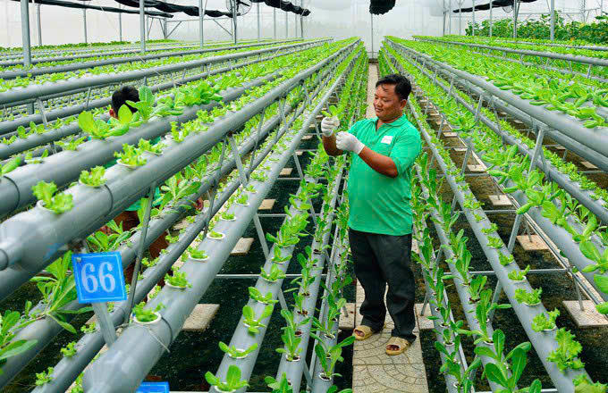 Cán bộ tín dụng chính sách NHCSXH tỉnh An Giang luôn bám sát cơ sở và tận tình giúp giúp dân sử dụng vốn đúng mục đích , đạt hiệu quả kinh tế.