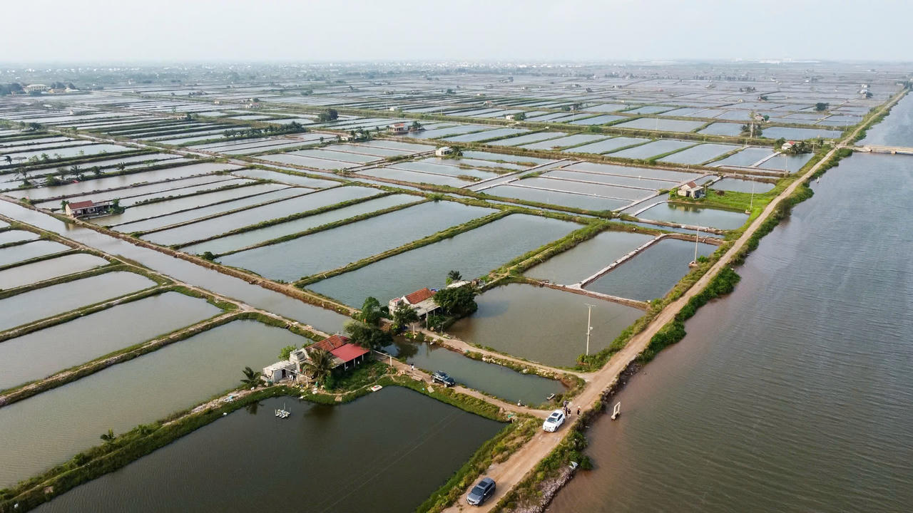 Ninh Bình thành lập Ban Chỉ đạo phát triển bền vững kinh tế biển
