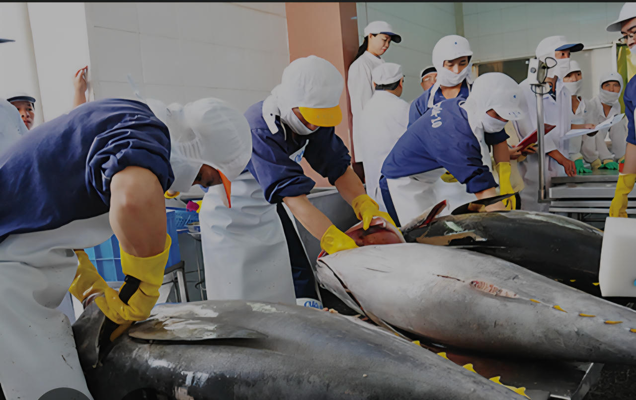 Bộ Công Thương lên tiếng trước nguy cơ Hoa Kỳ có thể dừng nhập khẩu một số loại thủy sản