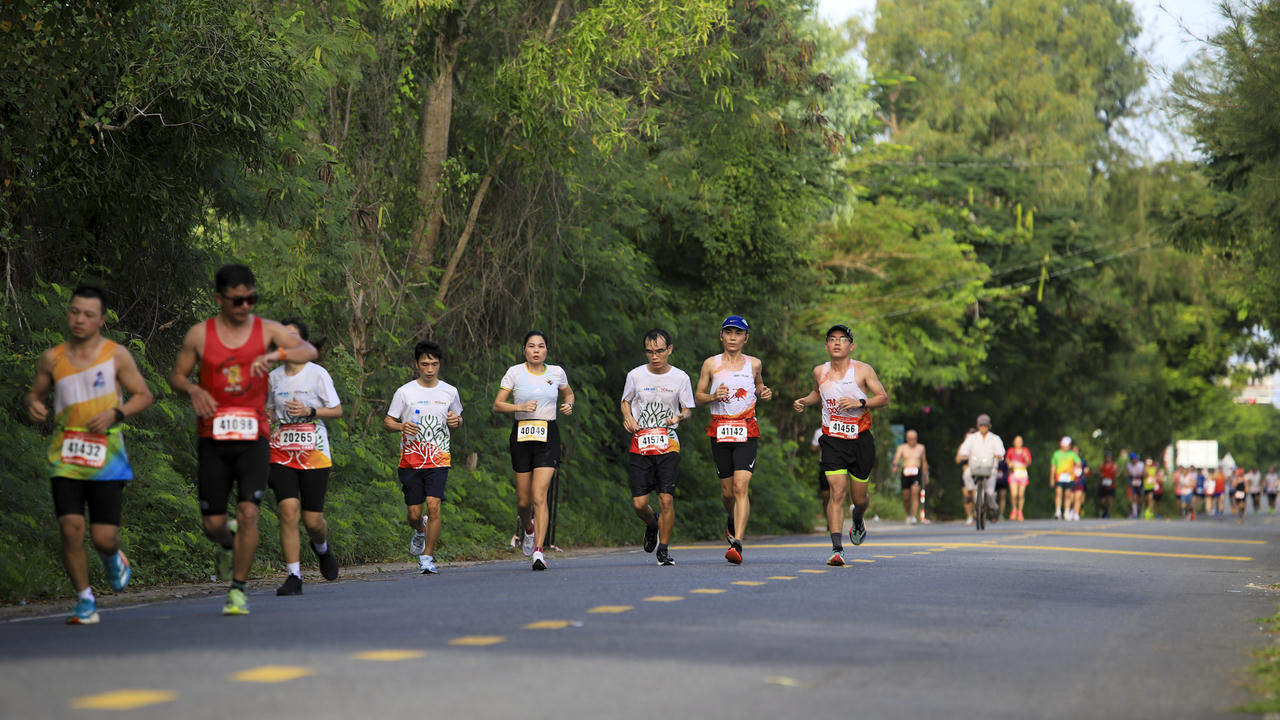  Những bước chạy nhịp nhàng giữa rừng ngập mặn, lan tỏa năng lượng xanh phấn khởi.