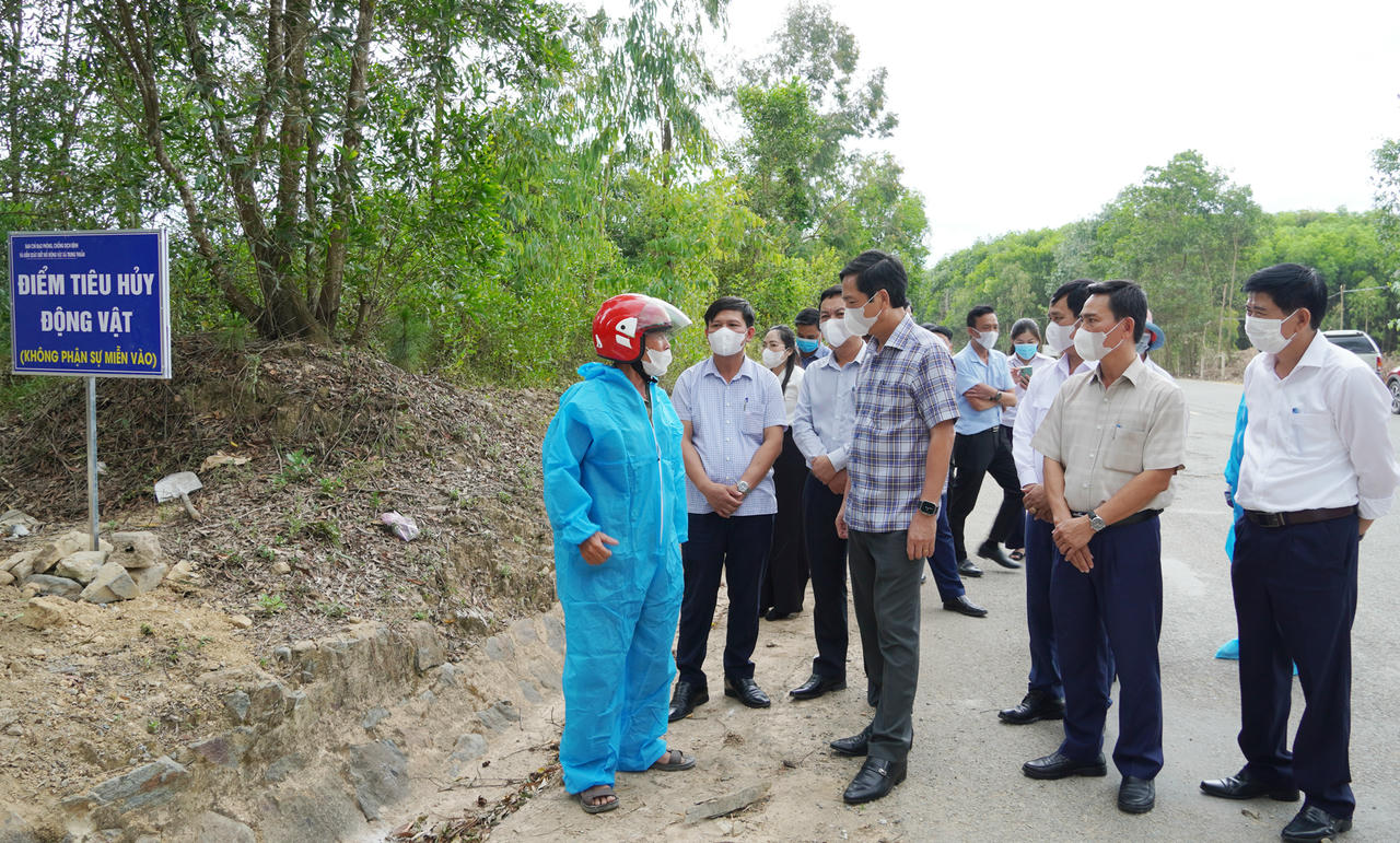 Quảng Trị: 5 địa phương của tỉnh công bố hết dịch tả lợn châu Phi