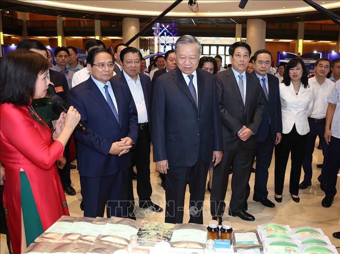 Tổng Bí thư Tô Lâm và các đồng chí Lãnh đạo Đảng, Nhà nước tham quan triển lãm “Những thành tựu nổi bật trong ngành y tế và giáo dục”. Ảnh: TTXVN