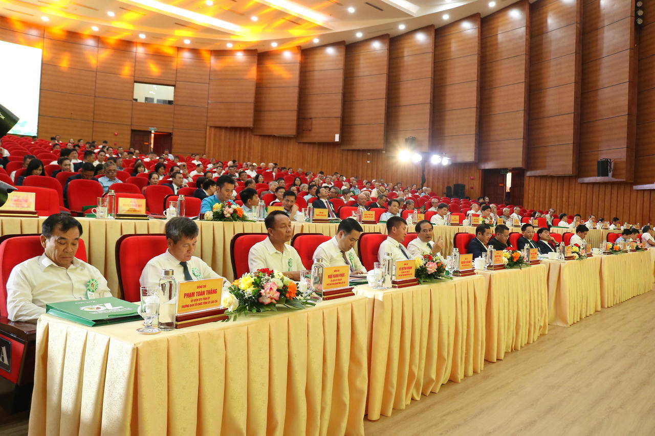 Các đại biểu tham dự buổi lễ