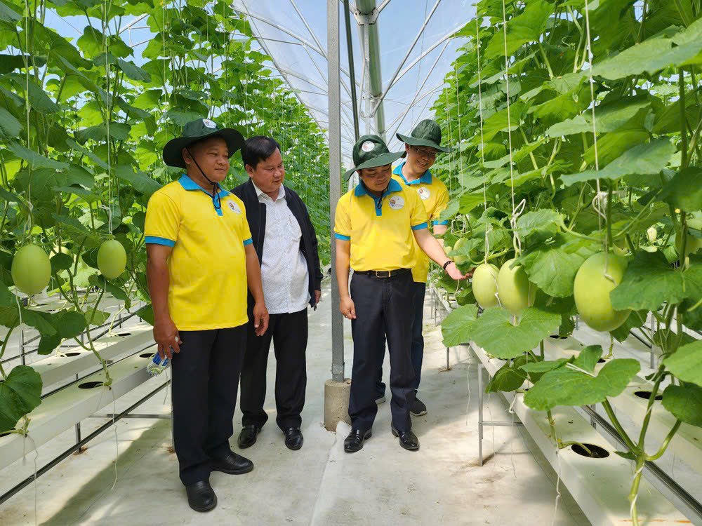 Phát triển nông nghiệp gắn liền với du lịch mang lại hiệu quả lớn về kinh tế. (Ảnh: PV)