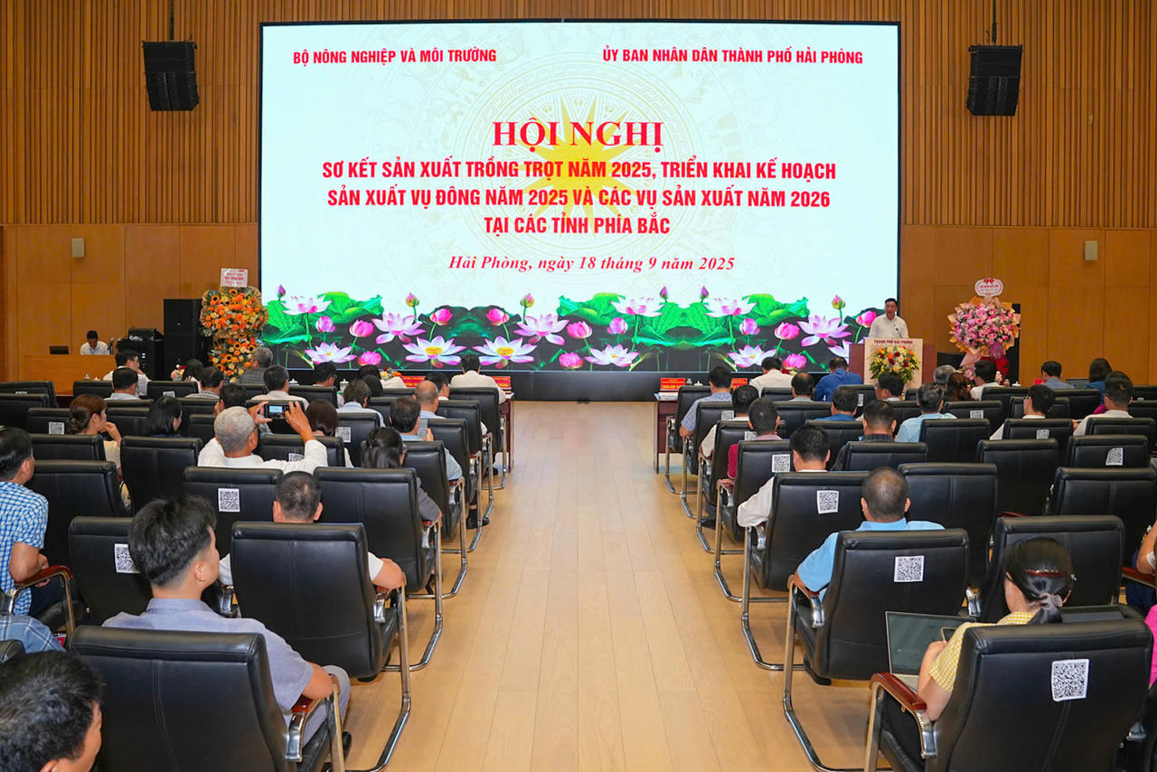 Chủ động kế hoạch sản xuất, nâng cao hiệu quả các vụ trồng trọt