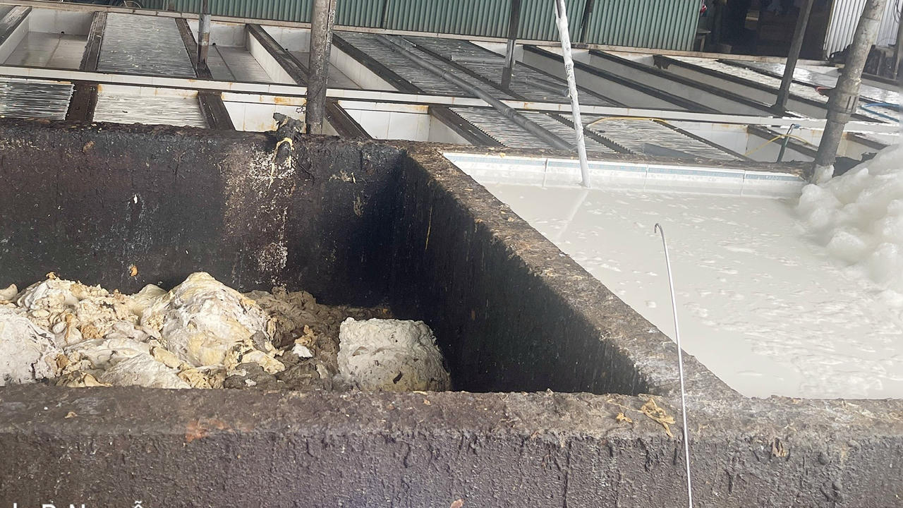 Bể chứa mủ cao su sủi bọt trắng xóa, bốc mùi hôi thối nồng nặc.