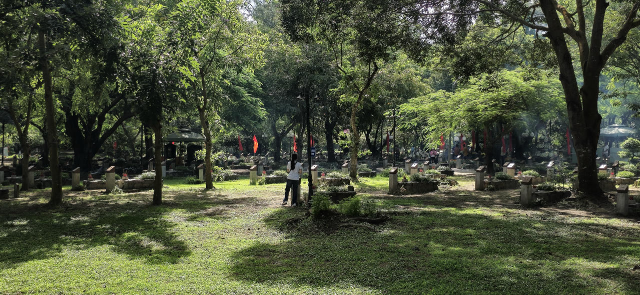 Những giò lan "tỏa sáng" trong nghĩa trang Hàng Dương