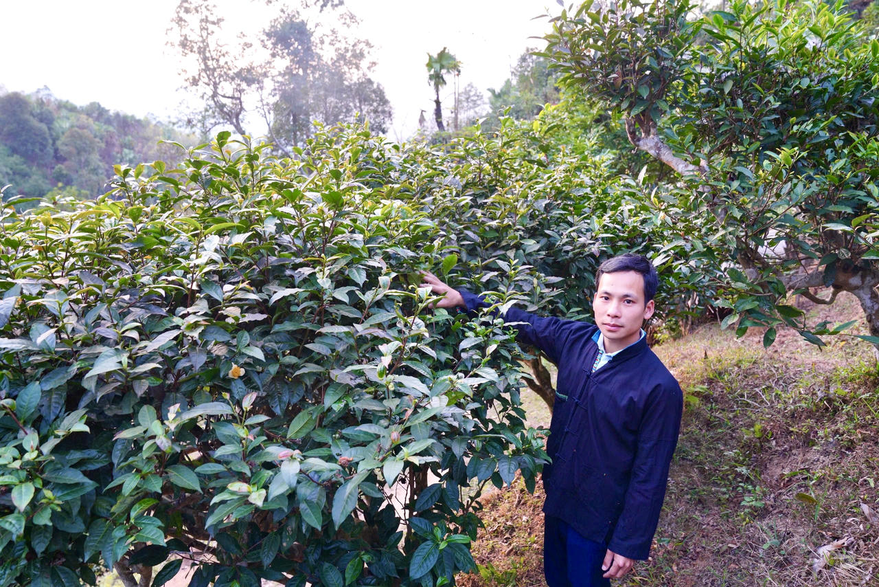 Người trẻ Tuyên Quang về quê khởi nghiệp: Làm giàu từ những sản phẩm đặc trưng
