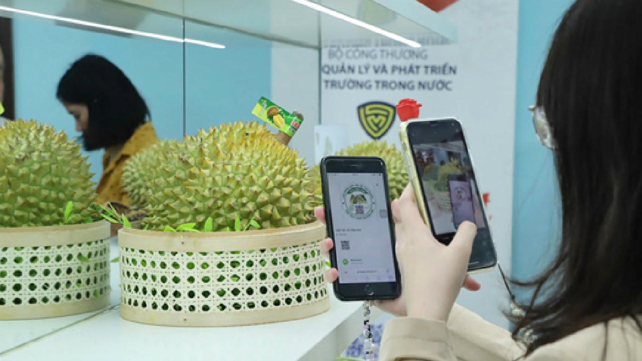 Quét mã QR code là biện pháp được nhiều doanh nghiệp sử dụng trong việc bảo vệ thương hiệu. 