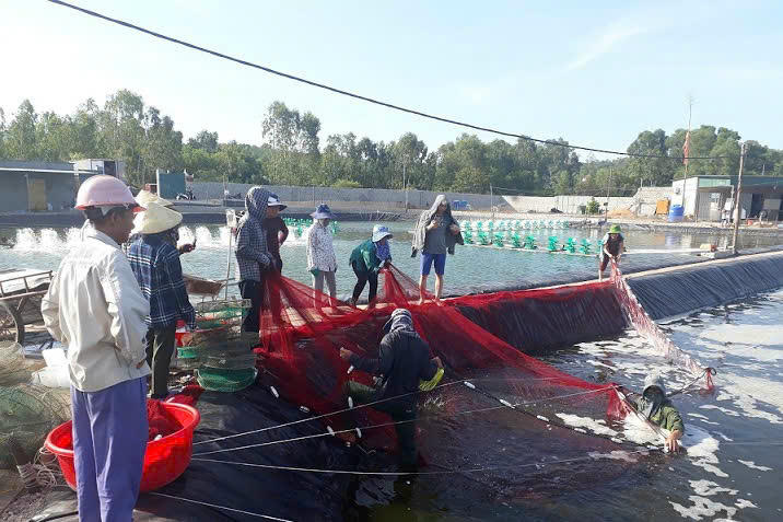 Nhờ nguồn vốn vay ưu đãi, người dân mạnh dạn đầu tư phát triển mô hình kinh tế, thoát nghèo bền vững.