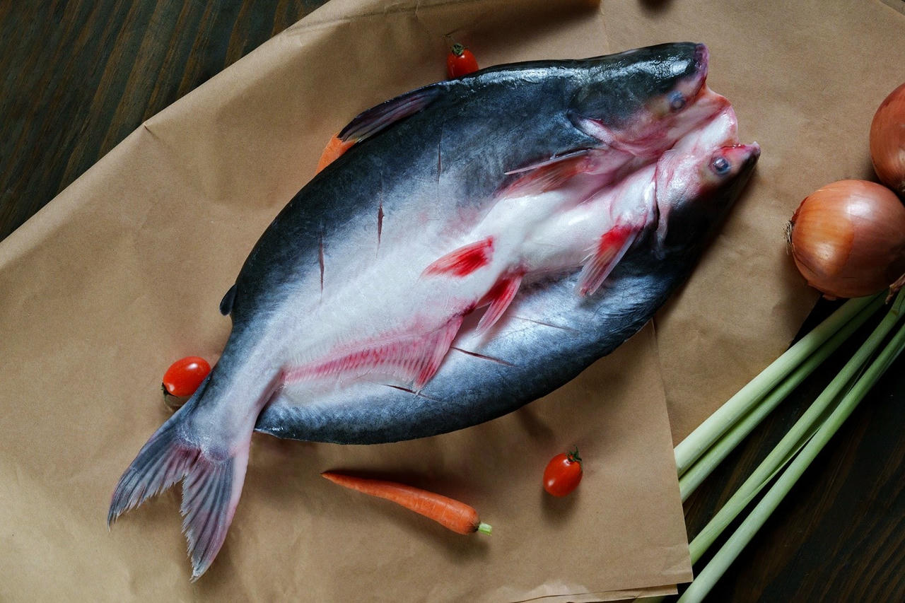 Chất lượng không thể bàn cãi