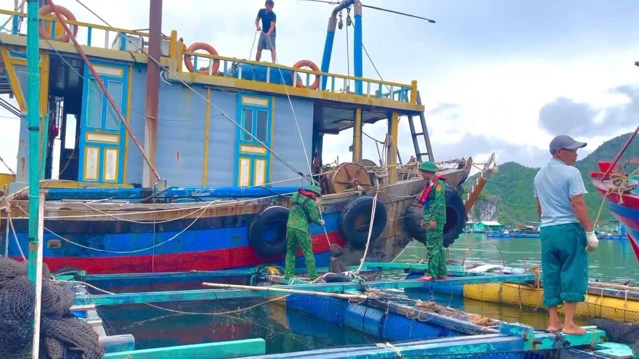 Lực lượng Biên phòng cùng ngư dân chằng, buộc phương tiện,
