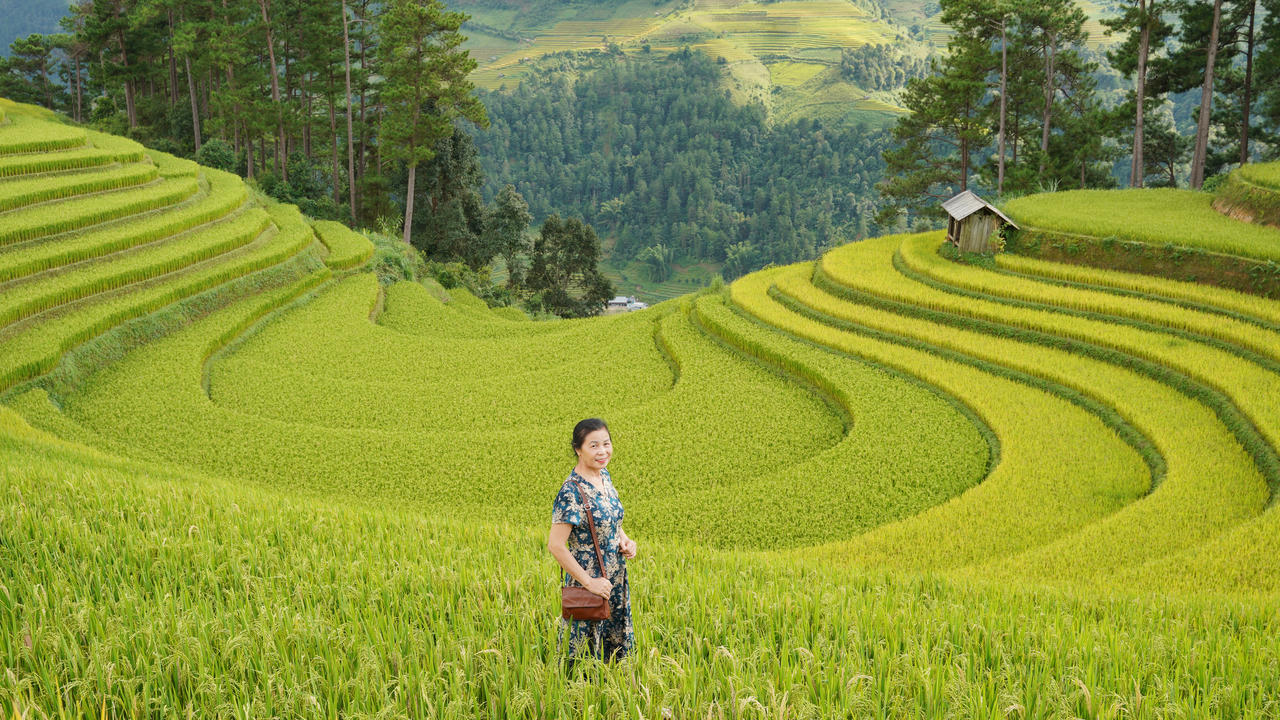  Bà Thành (66 tuổi) tạm xa Hà Nội để đến Mù Cang Chải chạm tay vào mùa vàng tại Võng Lúa. Ảnh: Đức Mạnh.