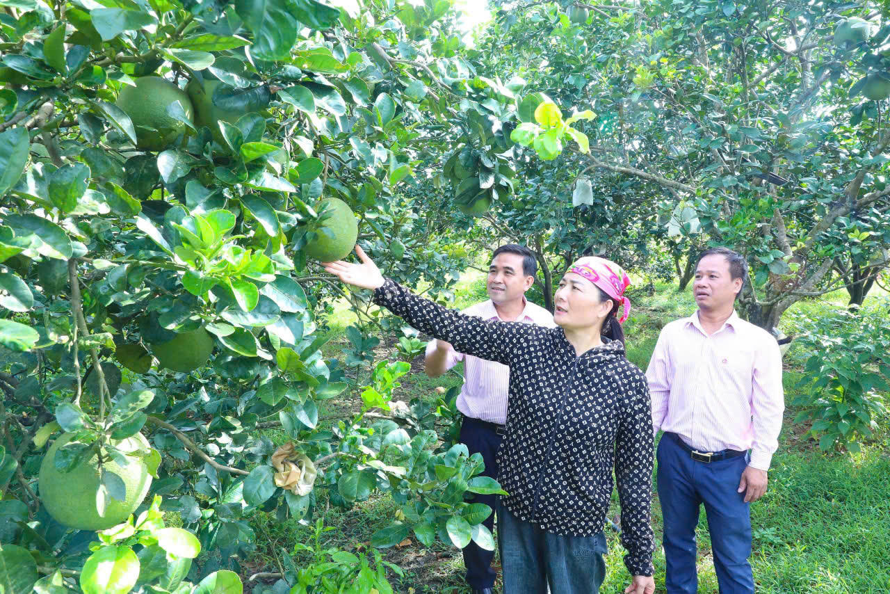 Tín dụng chính sách - 'Công cụ' đắc lực đảm bảo an sinh xã hội ở Nghệ An