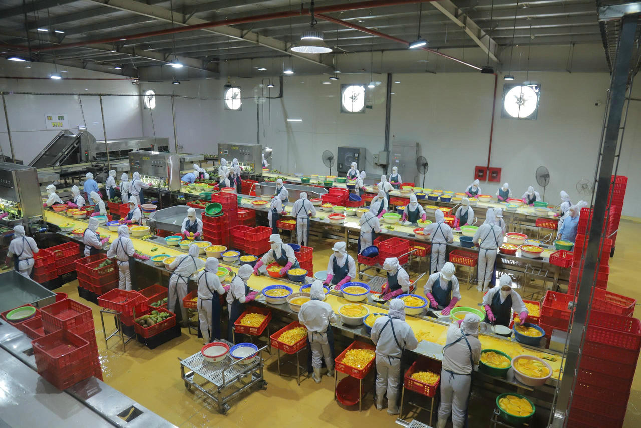 Doanh nghiệp đồng hành trong mục tiêu phát triển kinh tế Sơn La