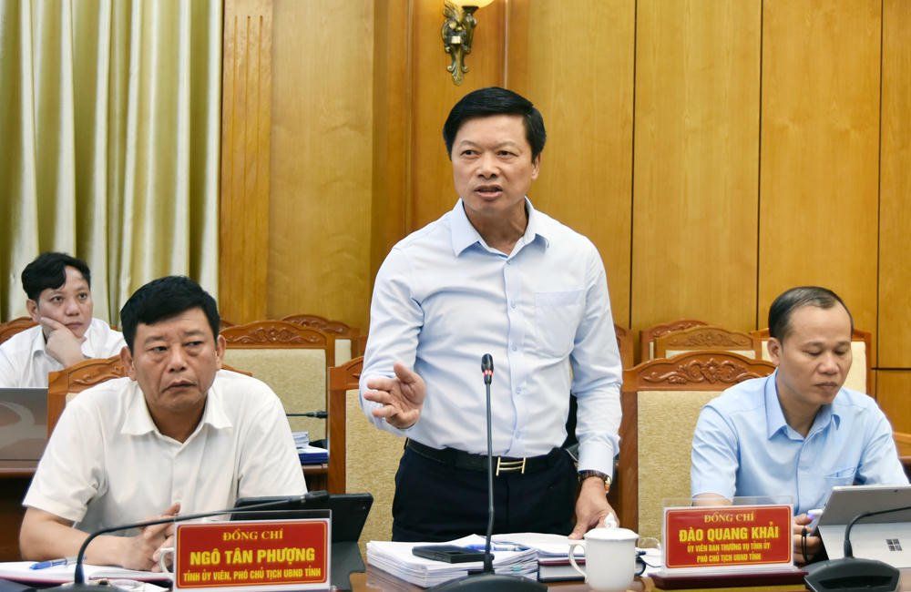 Phó Chủ tịch UBND tỉnh Đào Quang Khải phát biểu tại hội nghị.