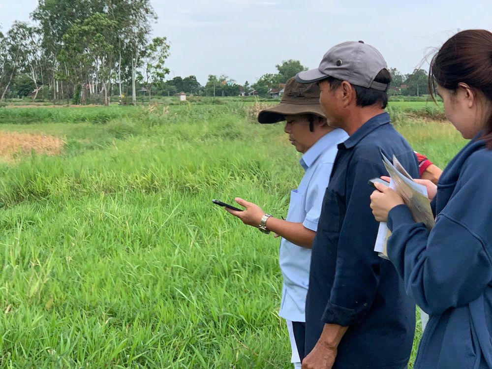 Cơ quan chuyên môn tỉnh Gia Lai kiểm đếm khối lượng bồi thường ở các dự án khu tái định cư phục vụ dự án đường sắt cao tốc Bắc - Nam đi qua tỉnh này. Ảnh: Q.Đ