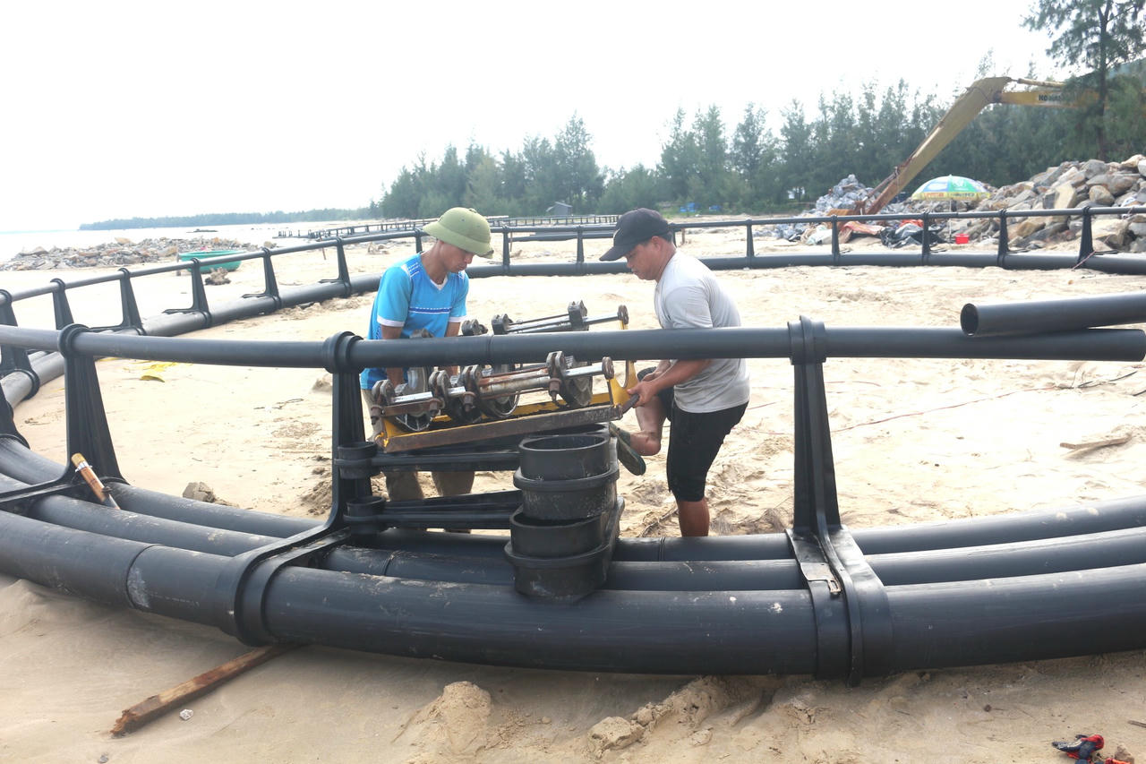 Không chịu khuất phục trước bão, ngư dân Quảng Trị tìm hướng đi mới nghề nuôi cá lồng trên biển.