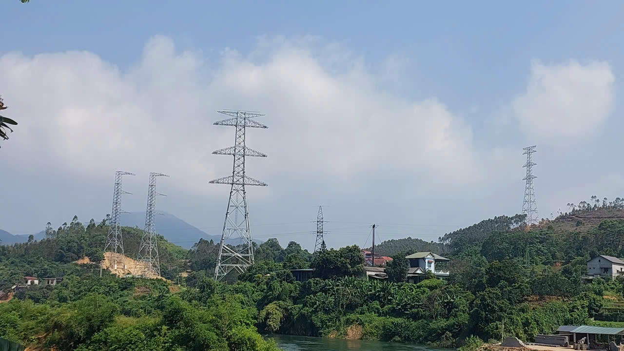 Phá 2.100m2 rừng tự nhiên, Công ty Cổ phần Thái Bình Dương bị phạt 137,5 triệu đồng