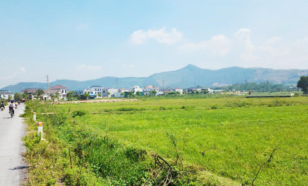 Địa điểm lựa chọn xây dựng khu tái định cư tại phường Hoàng Mai.