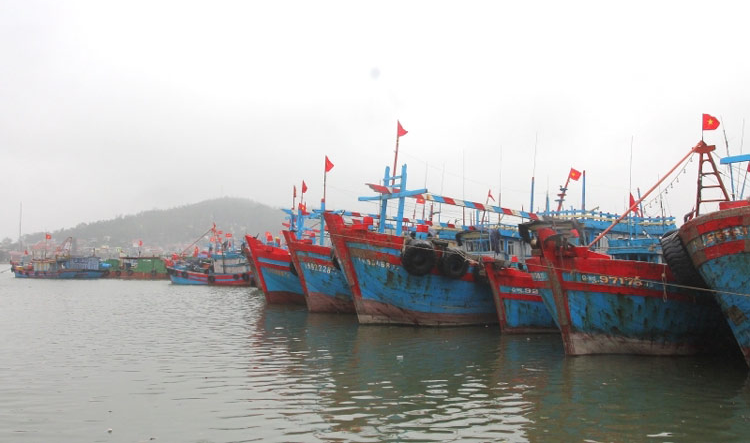 Thanh Hóa cấm biển từ 06 giờ 00 ngày 27/9/2025 để ứng phó với bão Bualoi