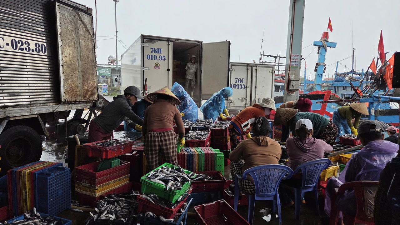 Ngư dân Quảng Ngãi hối hả “chạy bão số 10”, cảng cá ken dày tàu thuyền