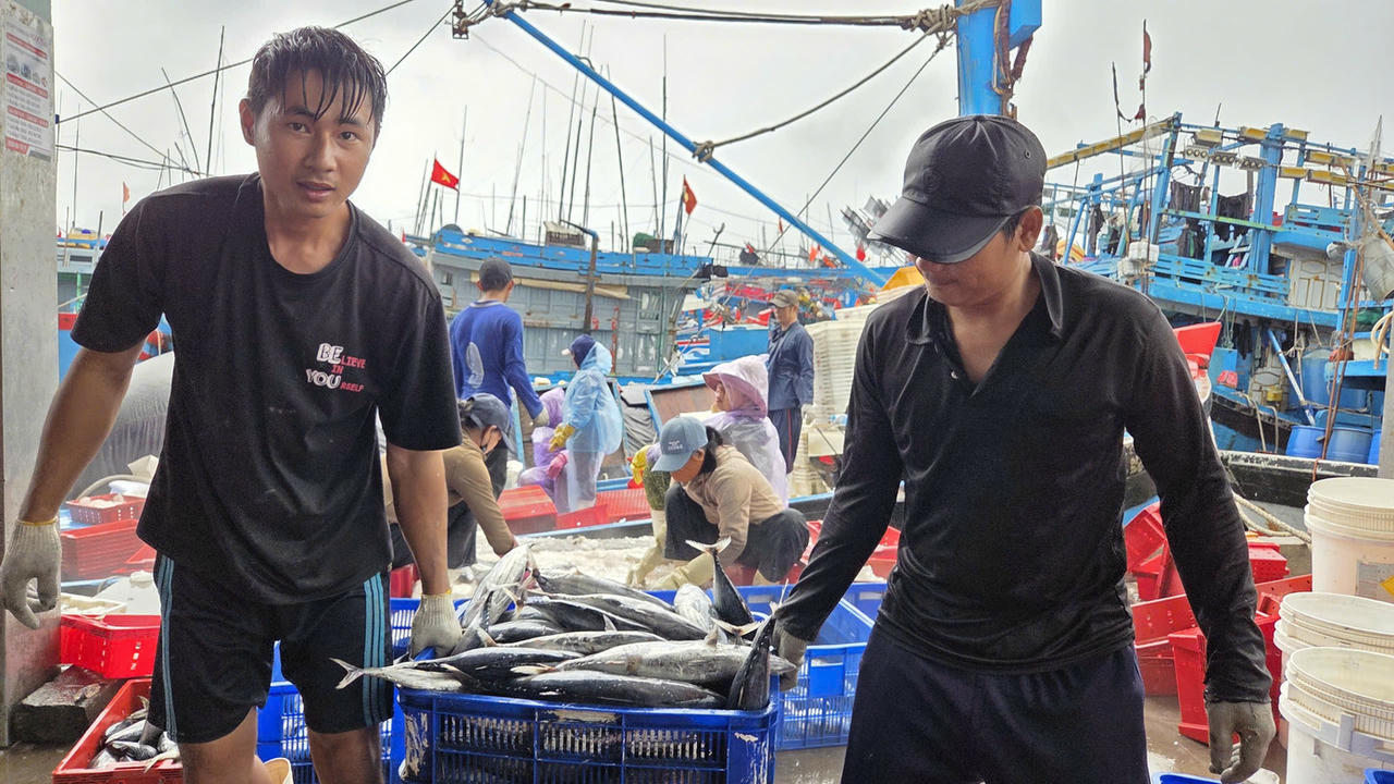 Ngư dân Quảng Ngãi hối hả “chạy bão số 10”, cảng cá ken dày tàu thuyền