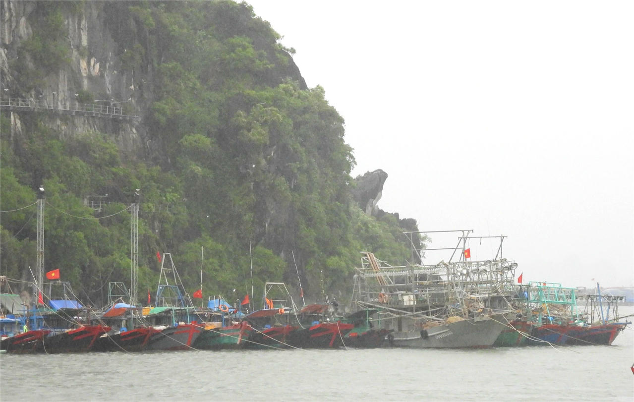 Quảng Ninh: Tạm ngừng cấp phép tàu ra khơi từ 18 giờ hôm nay, 27/9