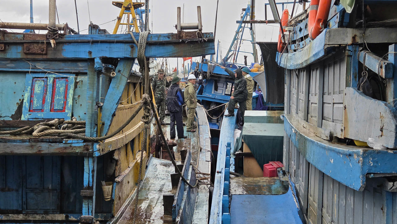 Ngư dân Quảng Ngãi hối hả “chạy bão số 10”, cảng cá ken dày tàu thuyền