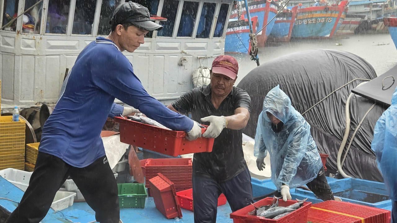 Ngư dân Quảng Ngãi hối hả “chạy bão số 10”, cảng cá ken dày tàu thuyền