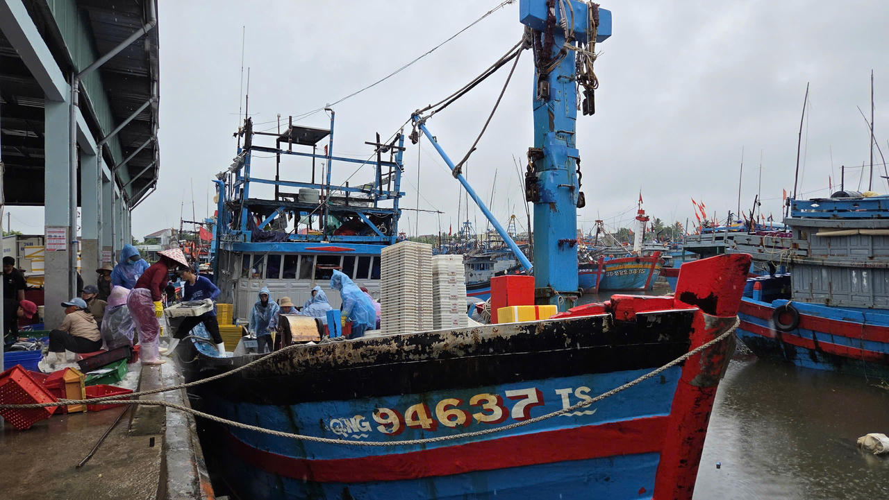 Ngư dân Quảng Ngãi hối hả “chạy bão số 10”, cảng cá ken dày tàu thuyền