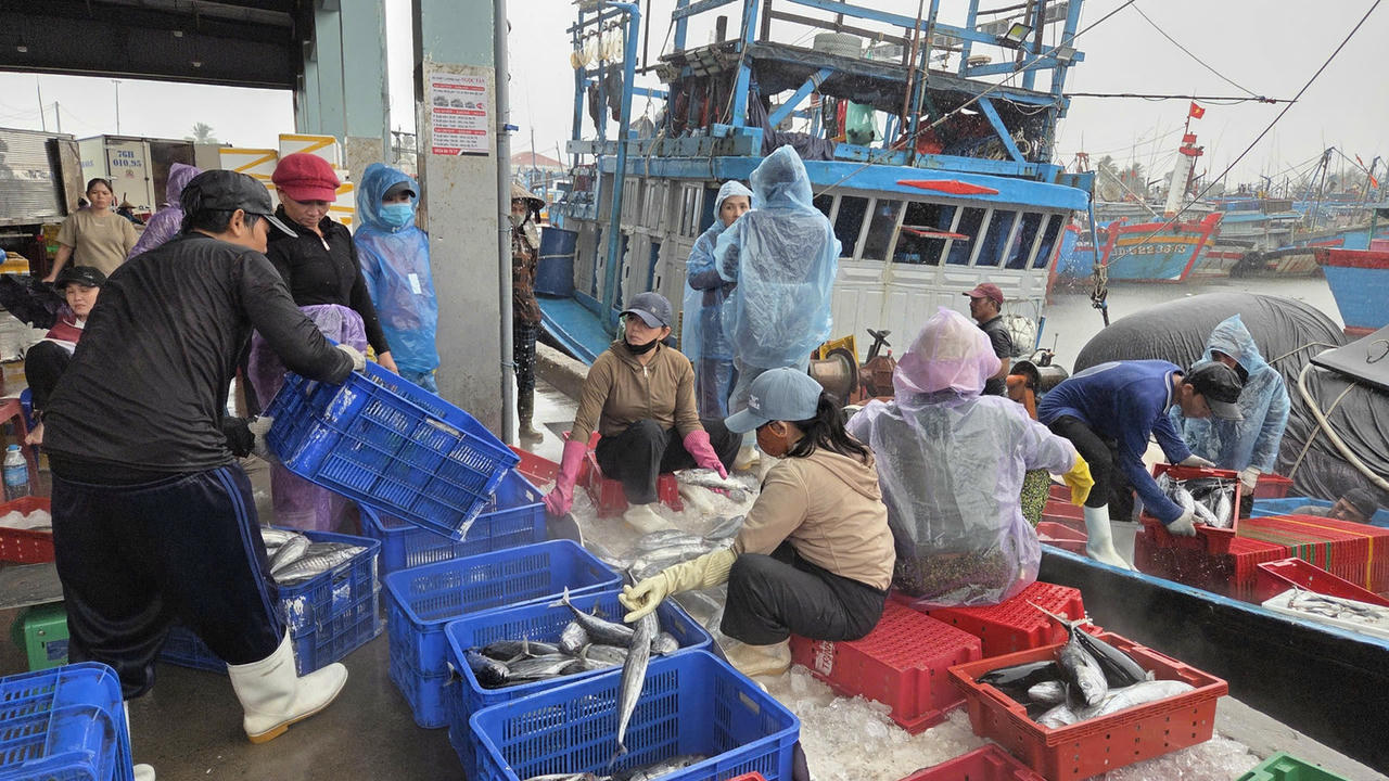 Ngư dân Quảng Ngãi hối hả “chạy bão số 10”, cảng cá ken dày tàu thuyền