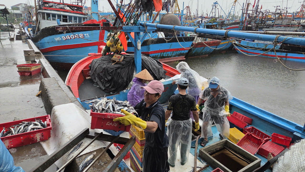 Ngư dân Quảng Ngãi hối hả “chạy bão số 10”, cảng cá ken dày tàu thuyền