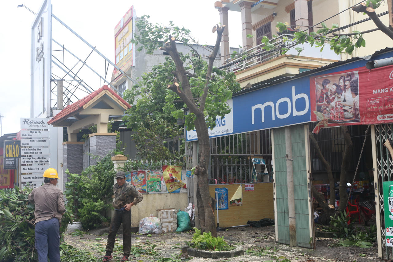 cắt tỉa cành cây.