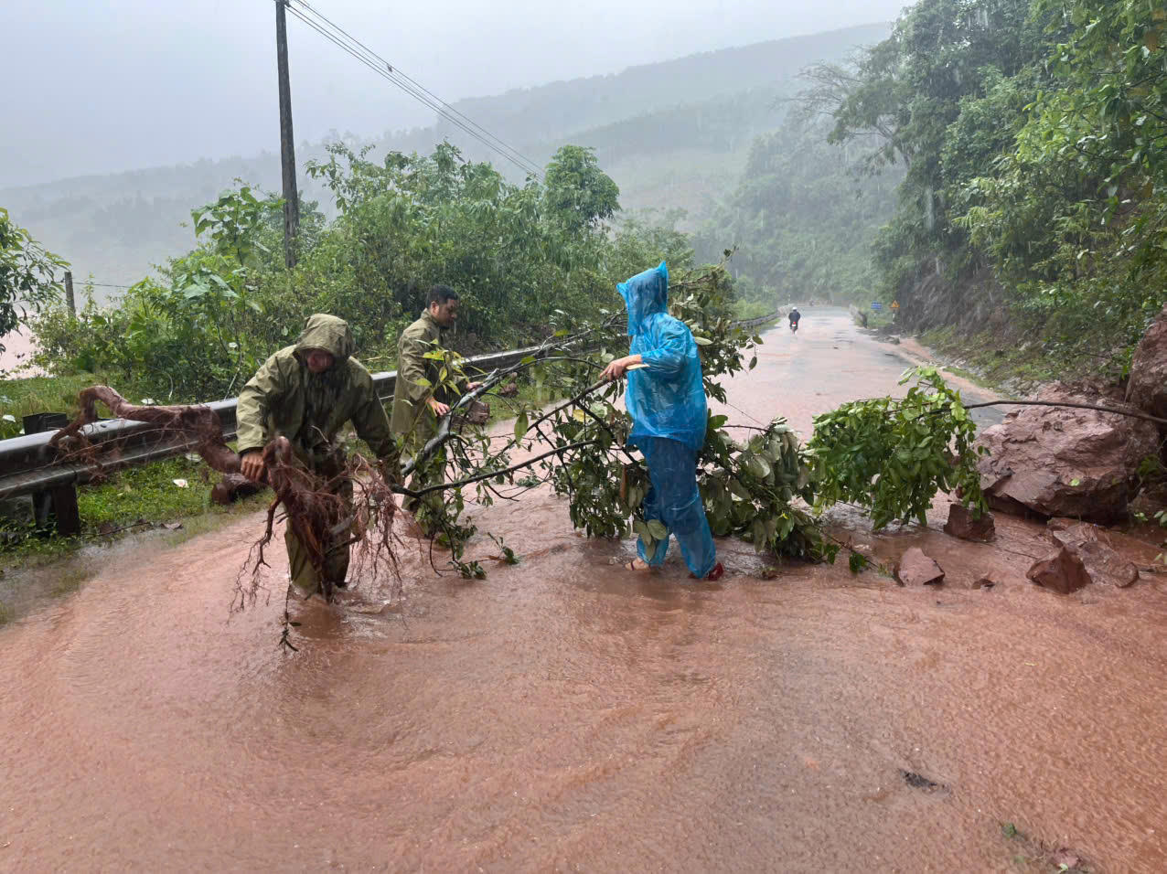 Công an và Biên phòng dọn
dẹp cây xanh ngã đổ, đảm bảo giao thông thông suốt trước bão.
