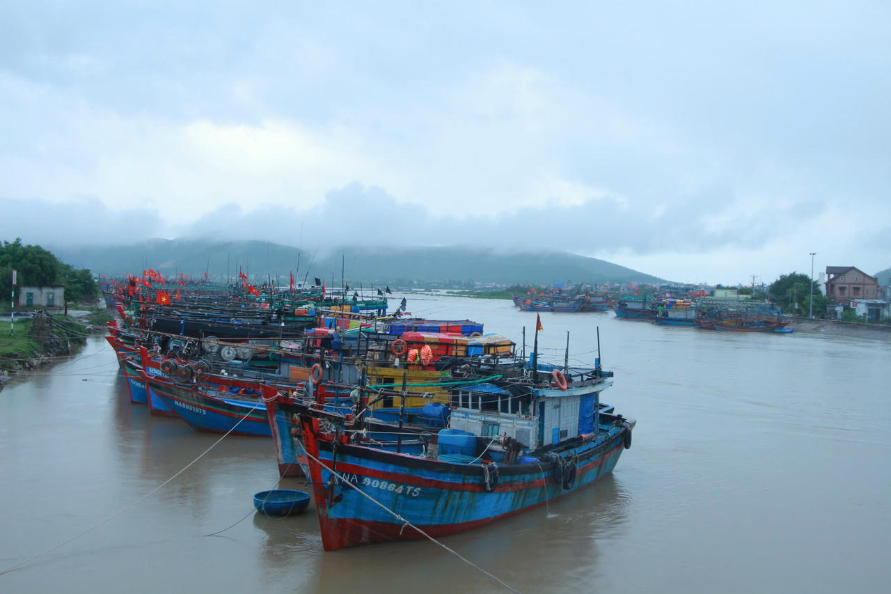 Tàu thuyền đã được neo đậu an toàn để tránh trú bão. 