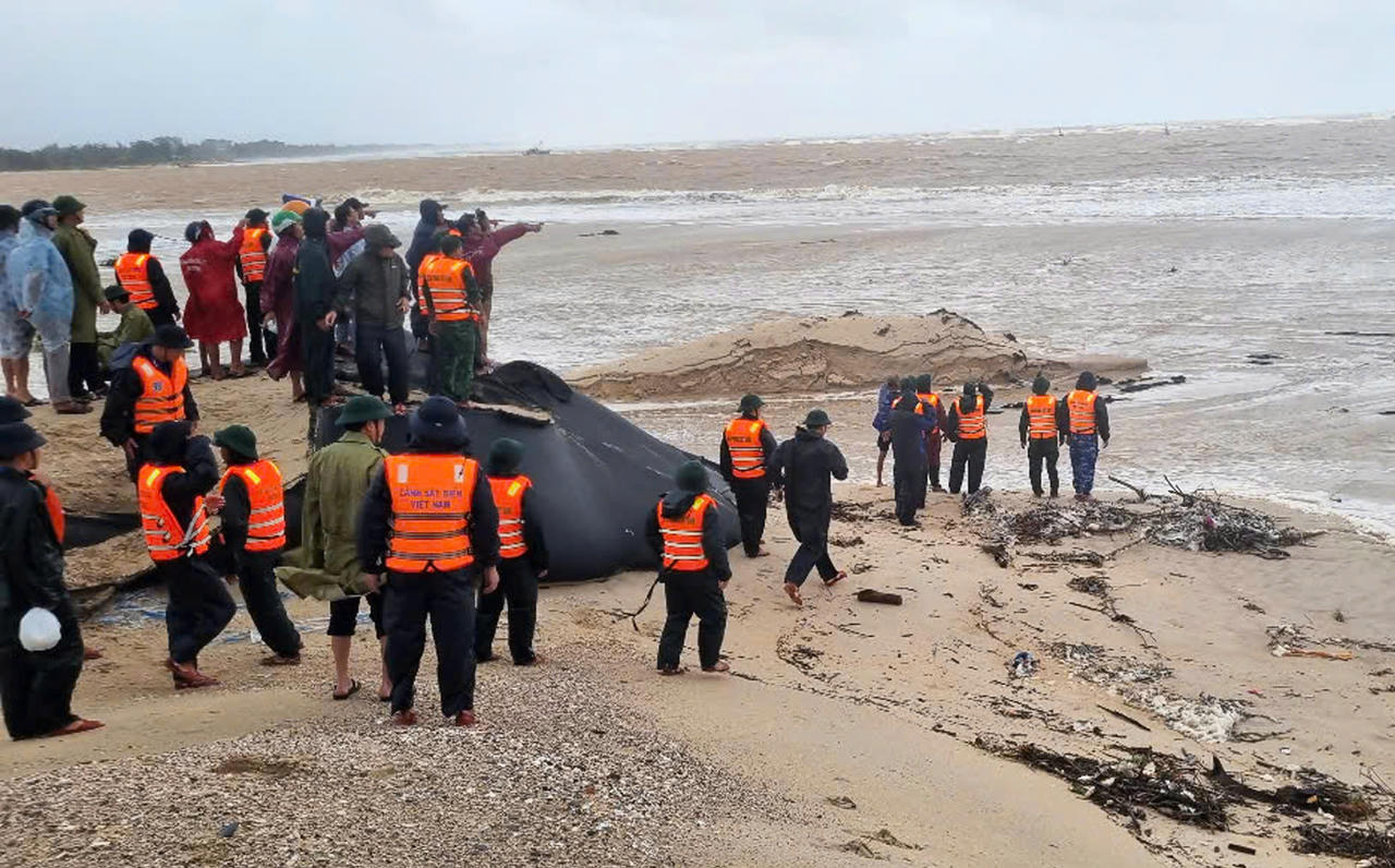 Cán bộ chiến sỹ Biên phòng, Công an và nhân dân đang
khẩn trương tìm phương án tiếp cận tàu bị nạn.