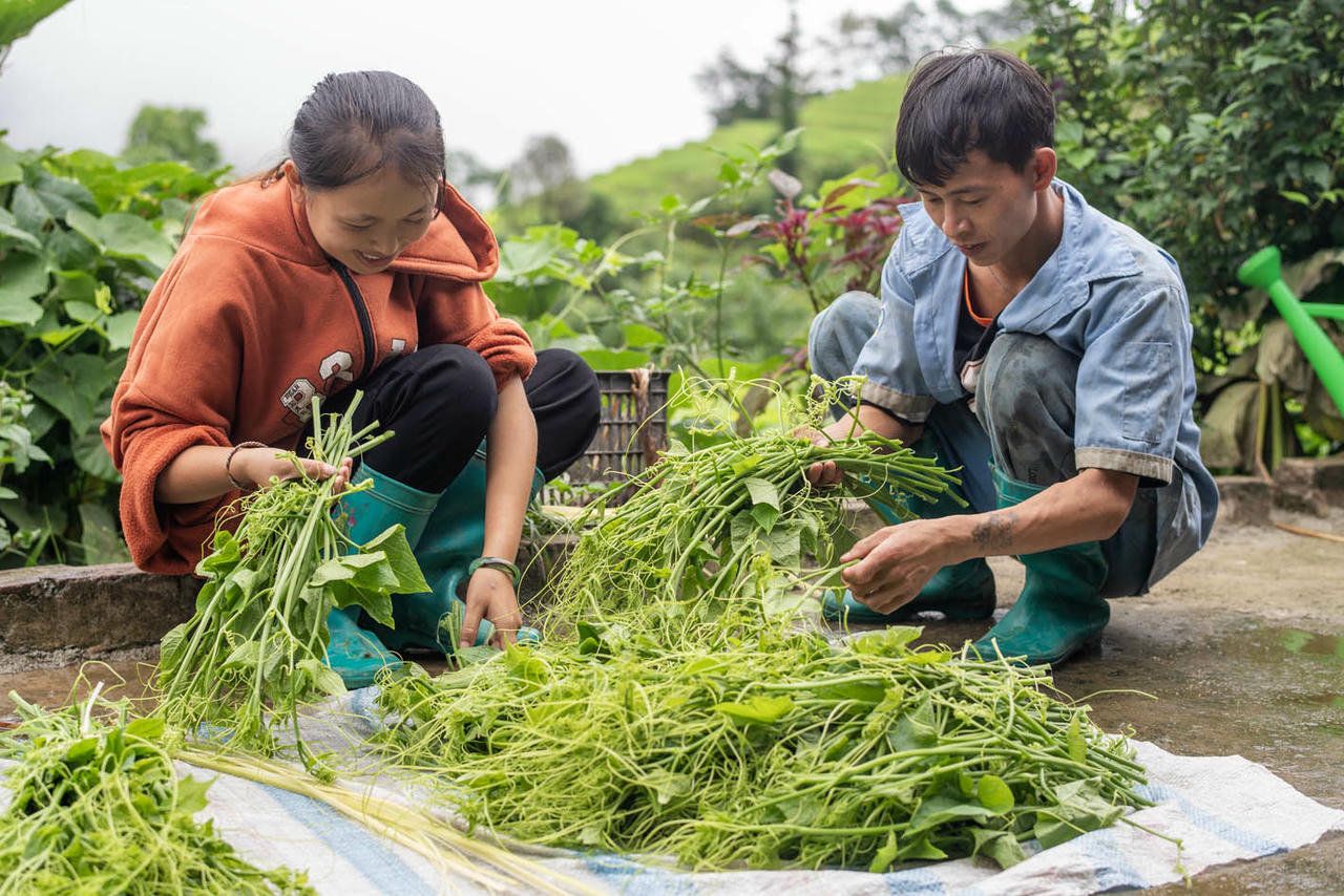 Nhờ tác động của Dự án, Hoa đã có sự đồng hành và thấu hiểu của người chồng trong các hoạt động sinh kế gia đình. (Ảnh trong bài: Plan International Việt Nam)