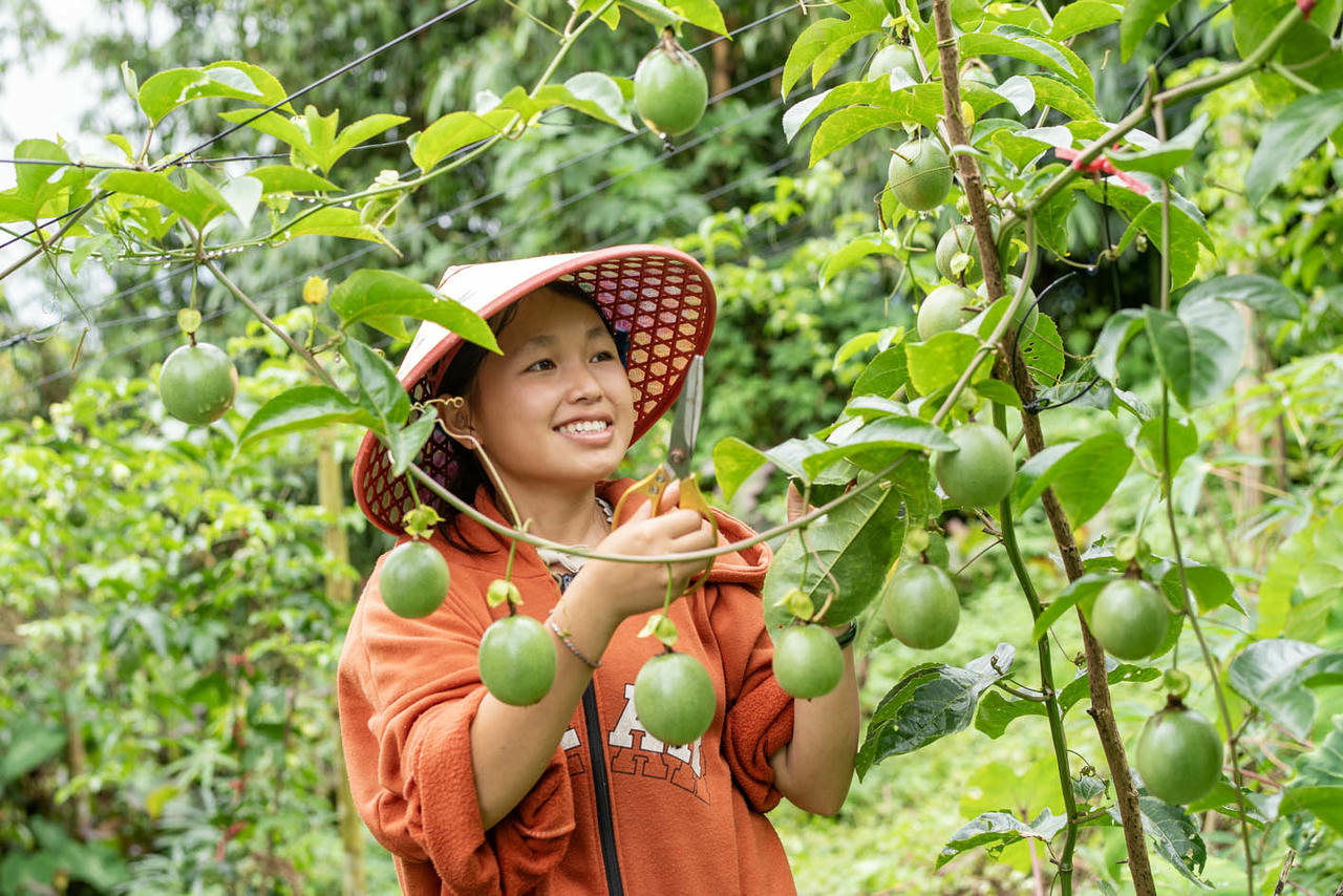 Từ bà mẹ trẻ đến thủ lĩnh cộng đồng: Câu chuyện về hành trình nâng cao quyền năng kinh tế cho thanh niên