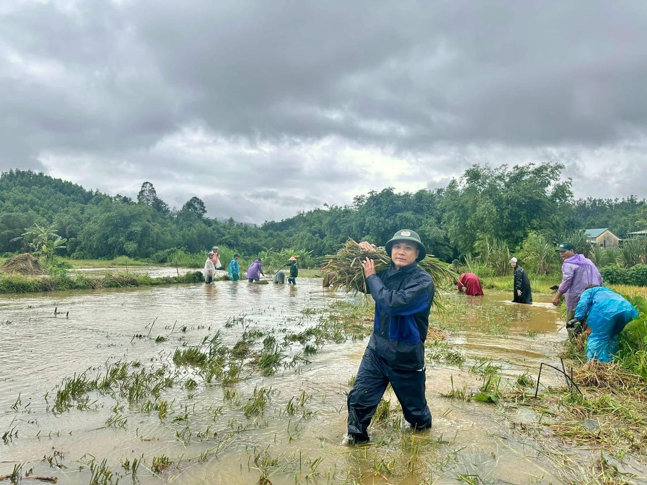 Cán bộ công an xã chạy đua với thời gian để hỗ trợ bà con gặt lúa, vận chuyển từng bó lúa ra khỏi vùng ngập.