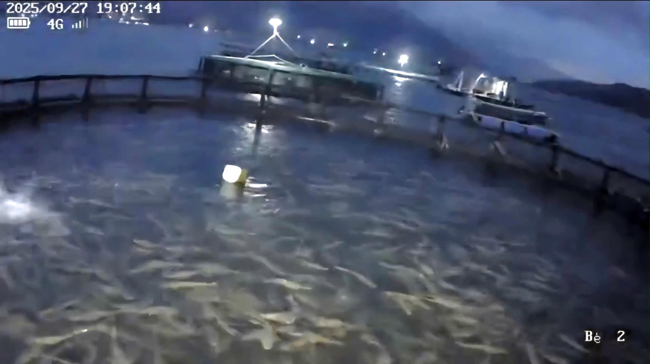 … nếu bán cá chạy bão số 10 thì lỗ nặng, để lại thì nơm nớp
lo âu.