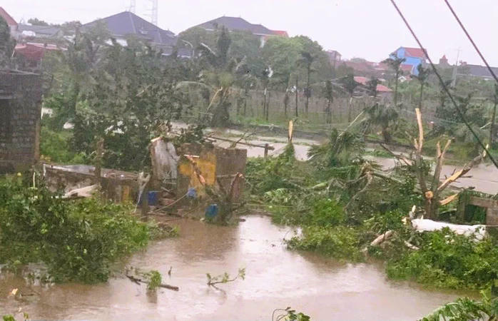 Lốc xoáy làm sập nhà, cây cối gãy rạp ở Ninh Bình, gây thiệt hại nặng nề về người và tài sản.