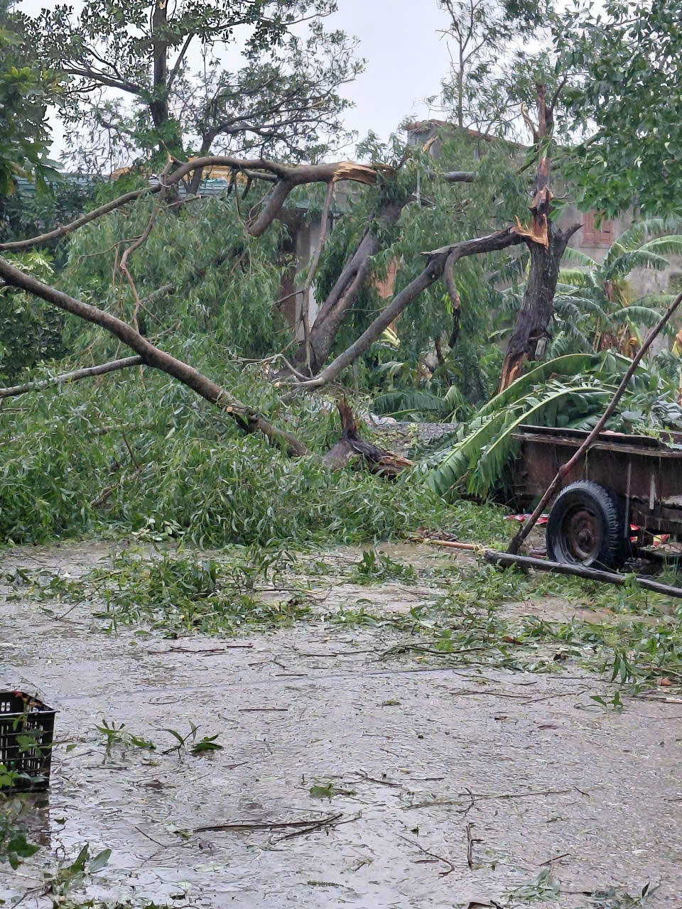 Quảng Trị: 12 người mất tích, nhiều thiệt hại nặng nề do bão số 10