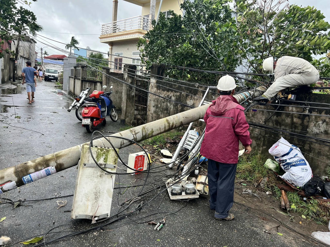 Nhiều cột điện và cây xanh đổ gẫy.